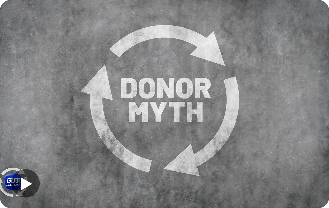 Support Program Banner